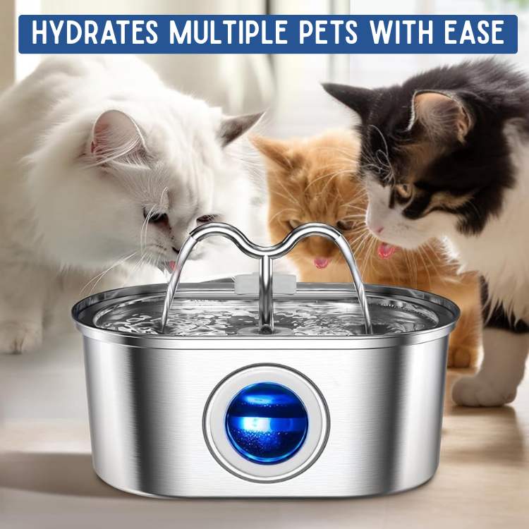 Pet Water Fountain - Silent, Clean and BPA Free 2L