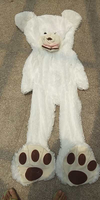 Large Cuddly Teddy Bear