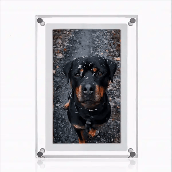Stylish Digital Picture Frame