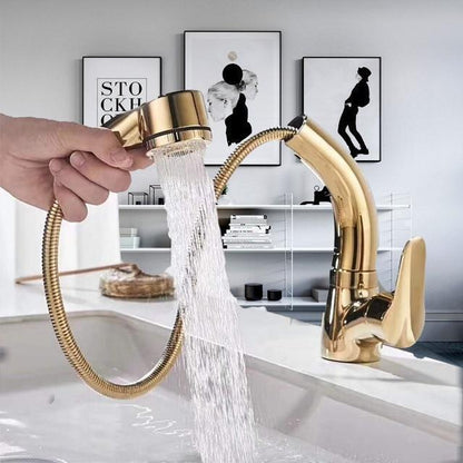 360 Degree Pull Out Shower Faucet