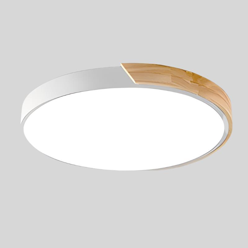Simple Round LED Ceiling Lamp