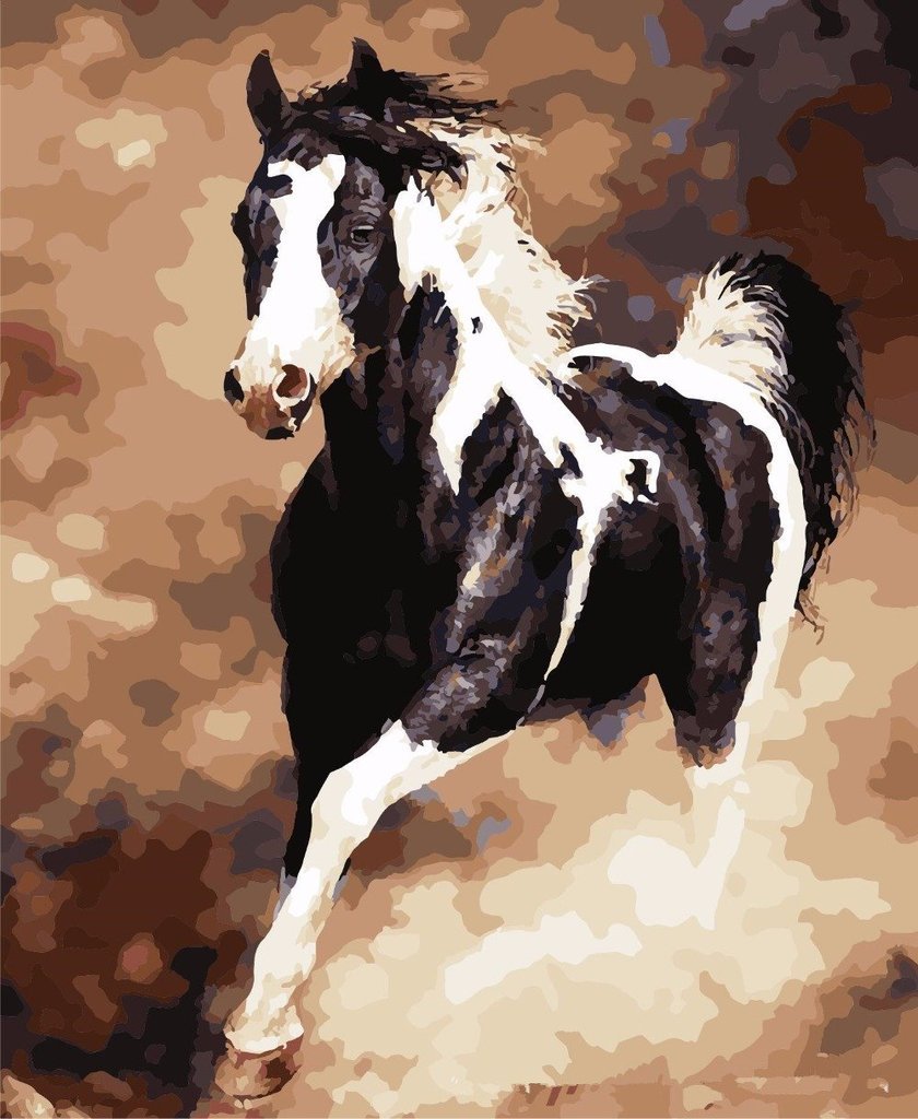 Fun Horse Paint By Number Art Kit - Cofik