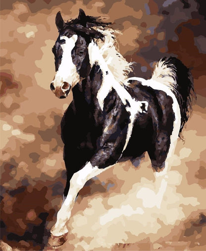 Fun Horse Paint By Number Art Kit - Cofik