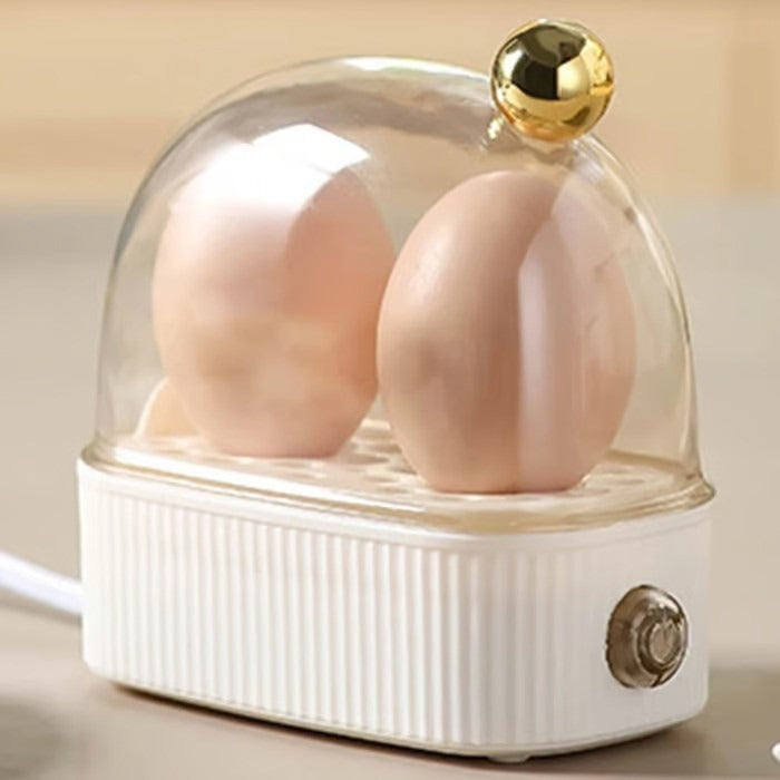Compact Electric 2 Egg Boiler