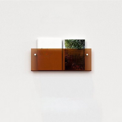 Clear Wall Mounted Acrylic Shelf Organizer