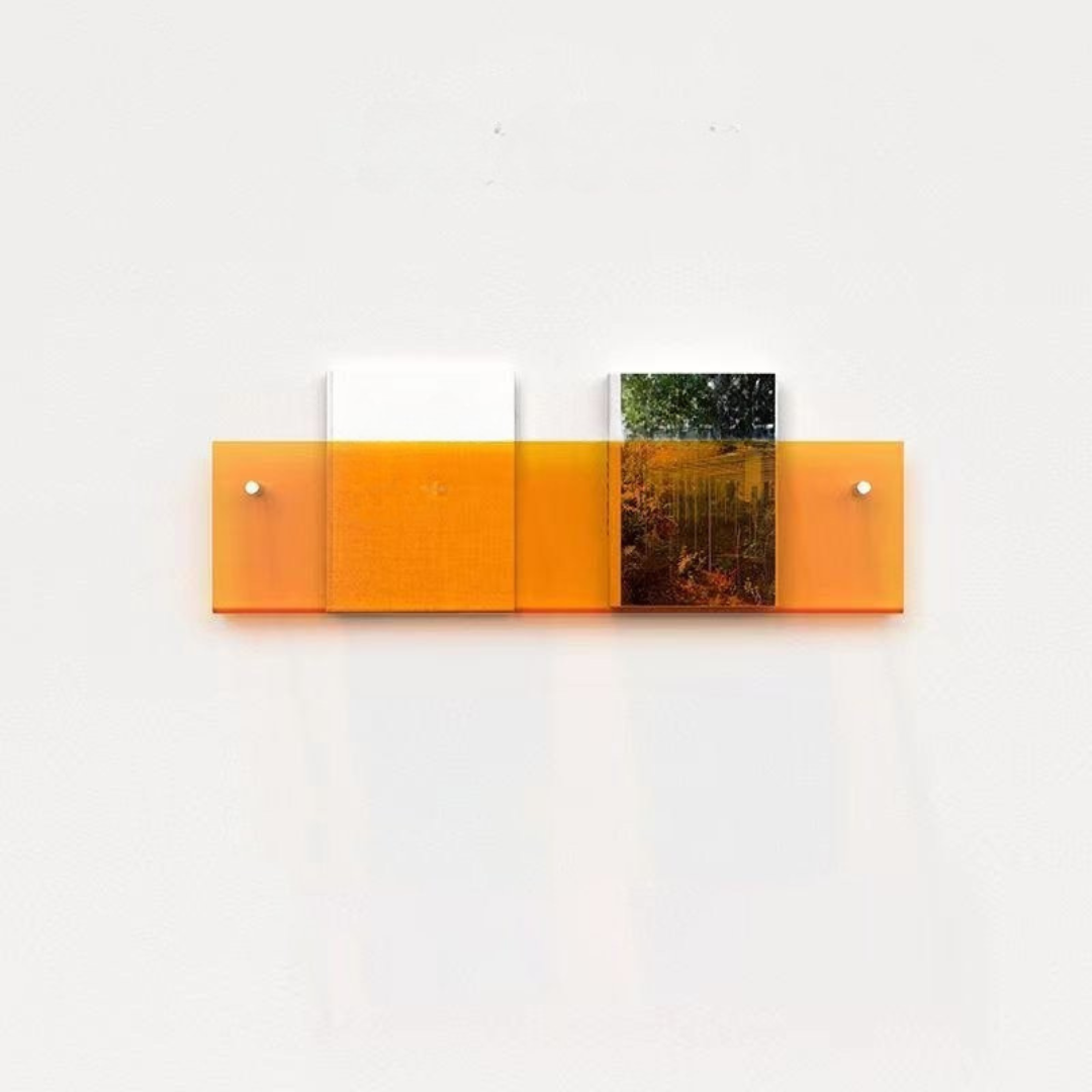 Clear Wall Mounted Acrylic Shelf Organizer