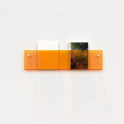 Clear Wall Mounted Acrylic Shelf Organizer