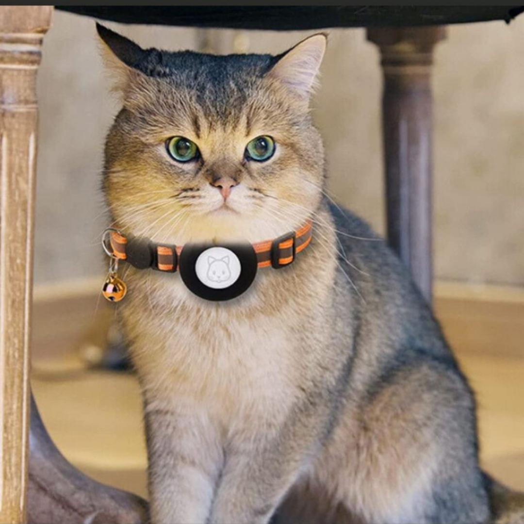 Pet GPS Safety Cat Collar with Bell