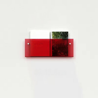Clear Wall Mounted Acrylic Shelf Organizer