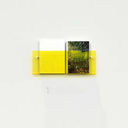 Clear Wall Mounted Acrylic Shelf Organizer