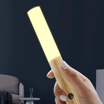 Smart Automatic LED Motion Wall Light