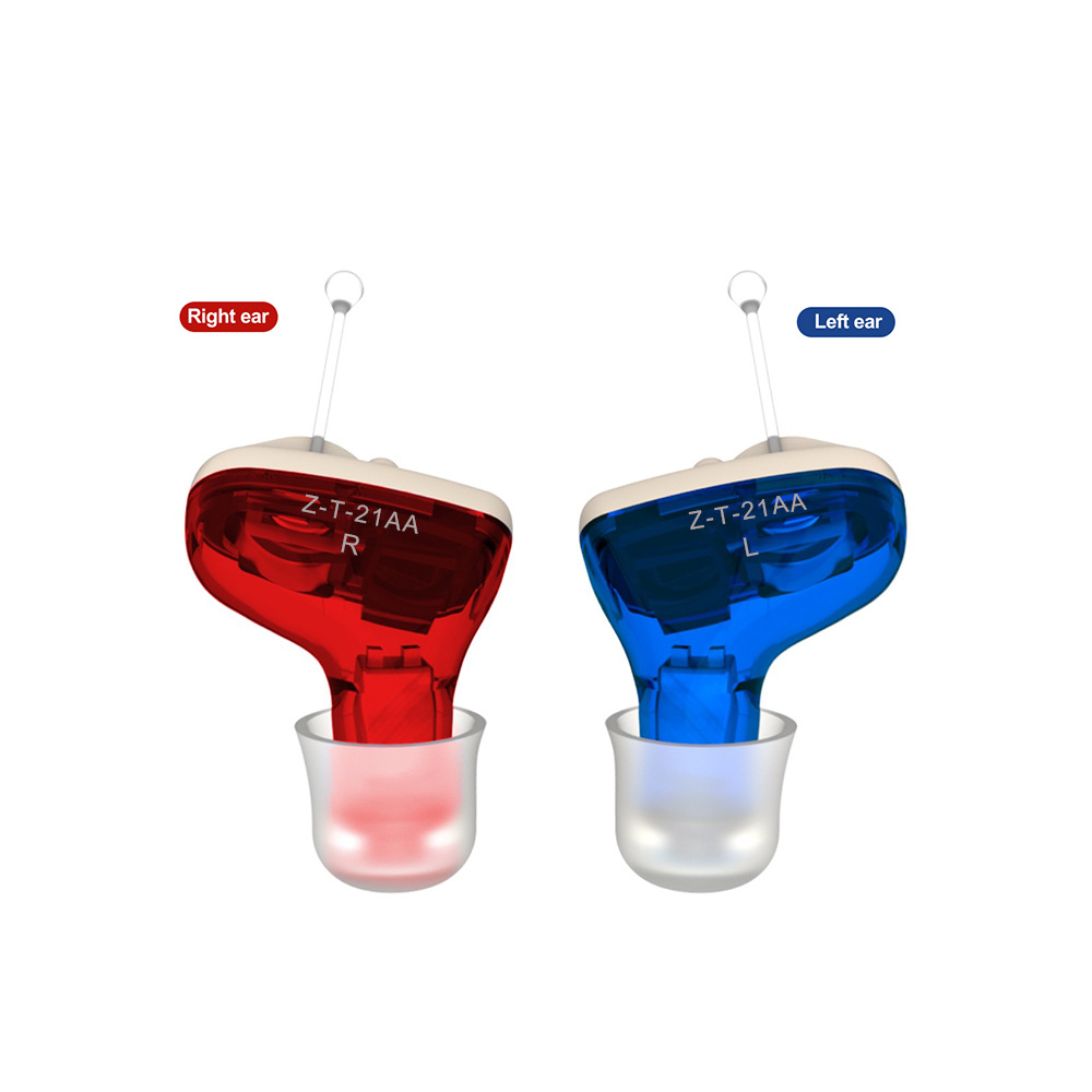 Discreet Rechargeable Hearing Aids for Adults