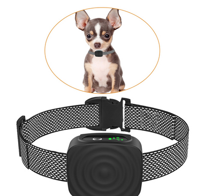 Pet Safe Anti Barking Collar for Small Dogs