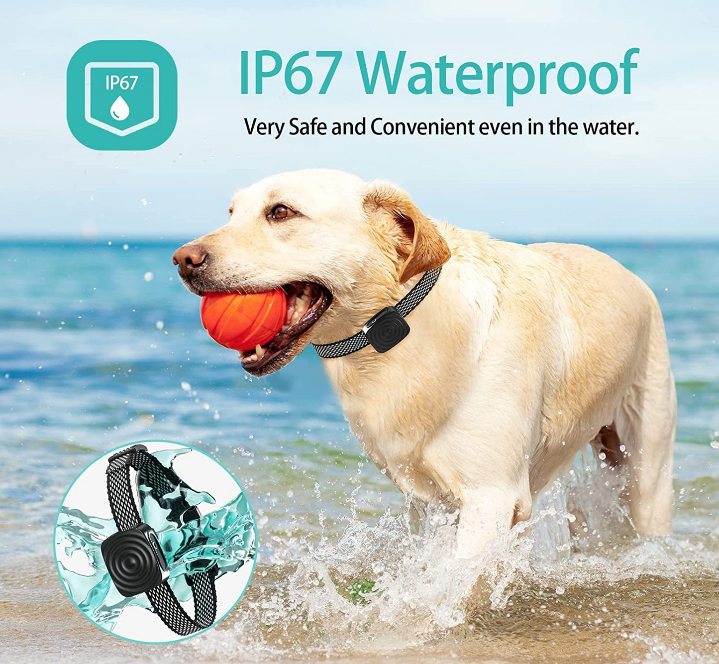 Pet Safe Anti Barking Collar for Small Dogs