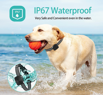 Pet Safe Anti Barking Collar for Small Dogs