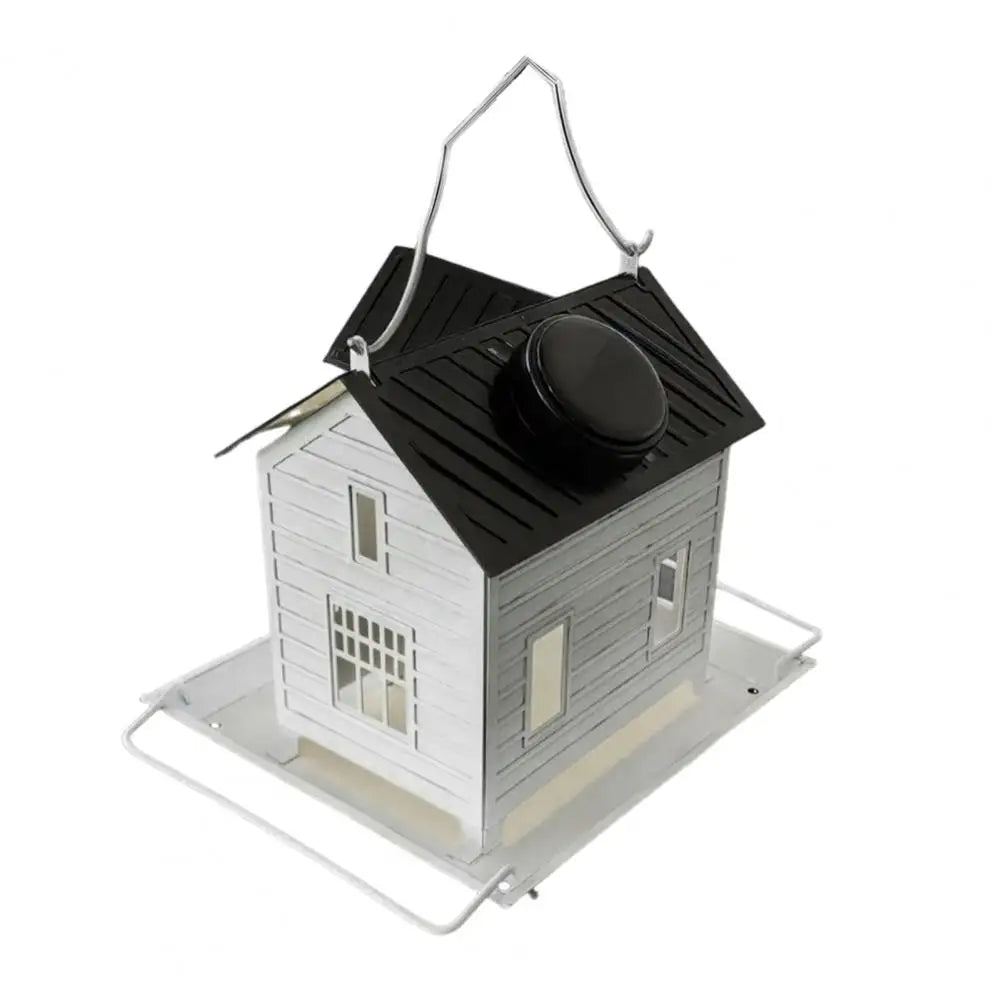 Colorful Bird Seed Feeder