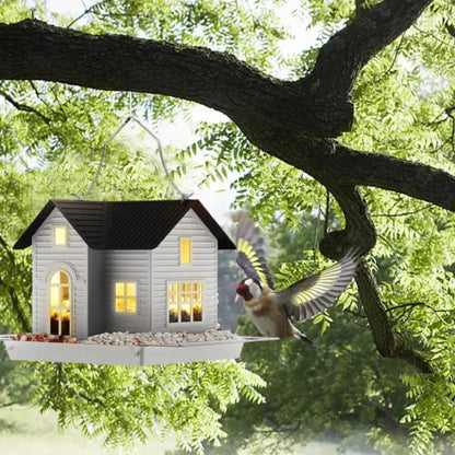 Colorful Bird Seed Feeder