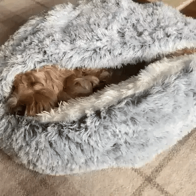 Cozy Pet Hideaway Bed