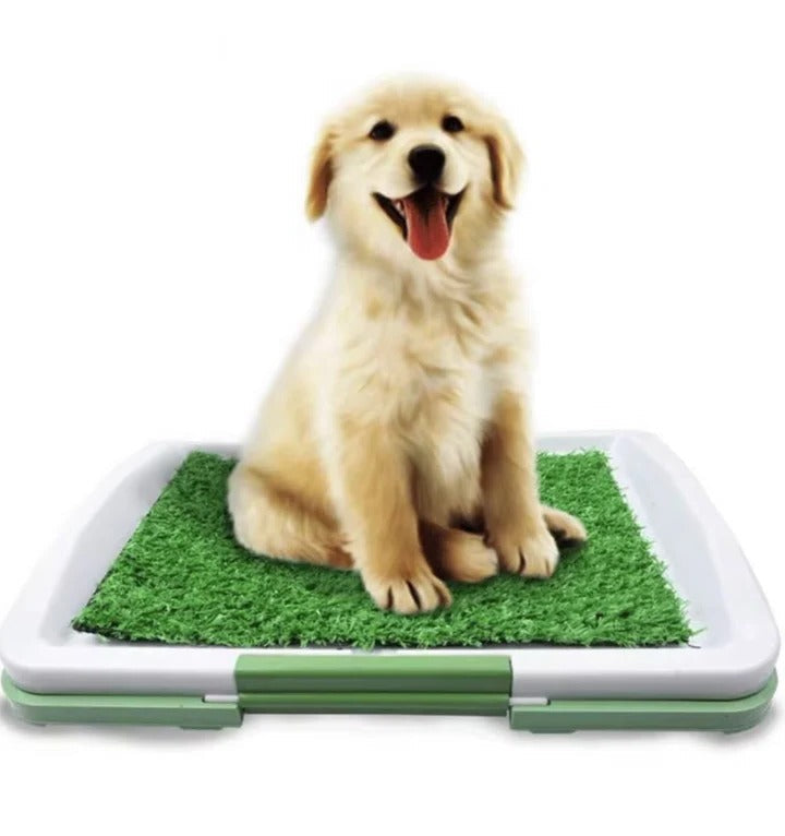 Pet Grass Dog Litter Box - Cofik