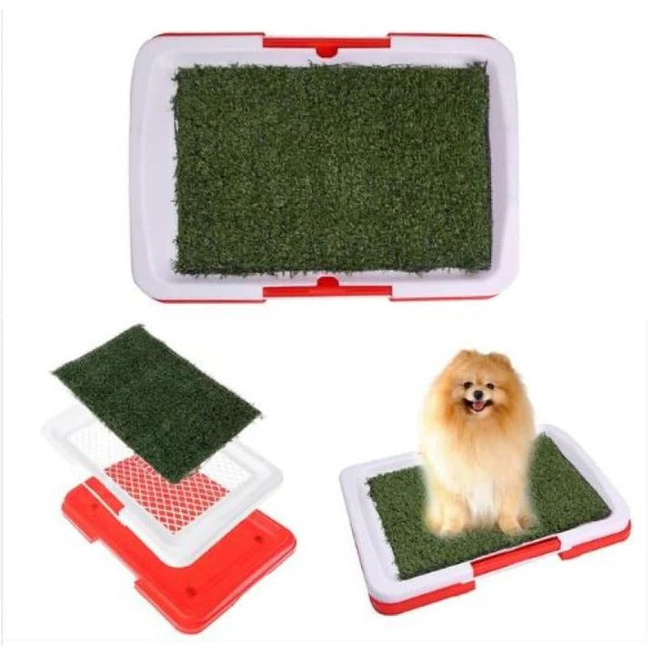 Pet Grass Dog Litter Box
