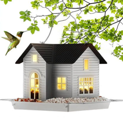 Colorful Bird Seed Feeder