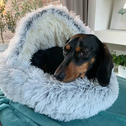 Cozy Pet Hideaway Bed