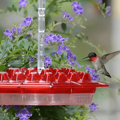 Easy Fill Hummingbird Feeder With Ant Trap - Cofik