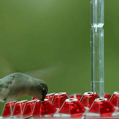 Easy Fill Hummingbird Feeder With Ant Trap