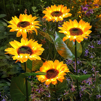 Bright Solar Powered Outdoor Lights