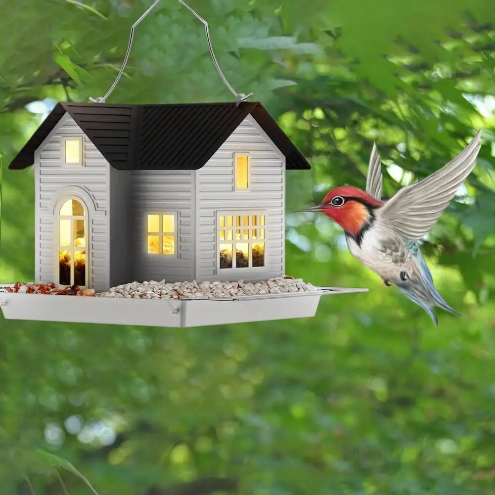 Colorful Bird Seed Feeder