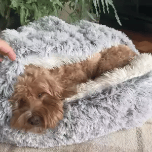 Cozy Pet Hideaway Bed
