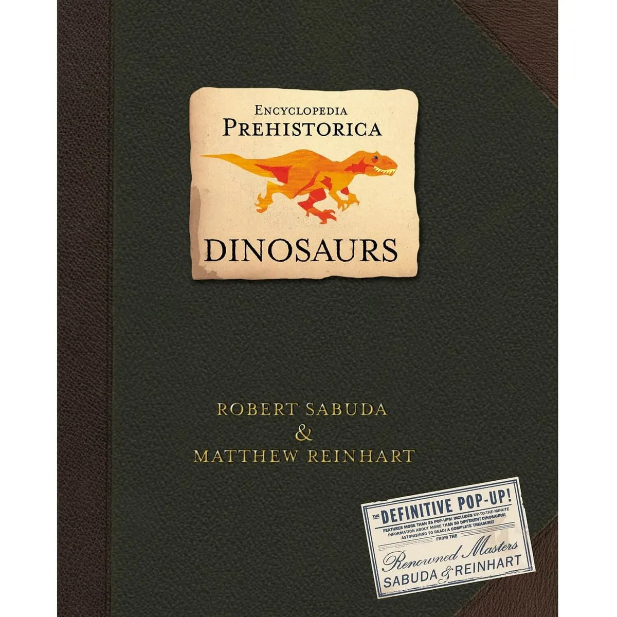 Colorful Interactive Dino Book