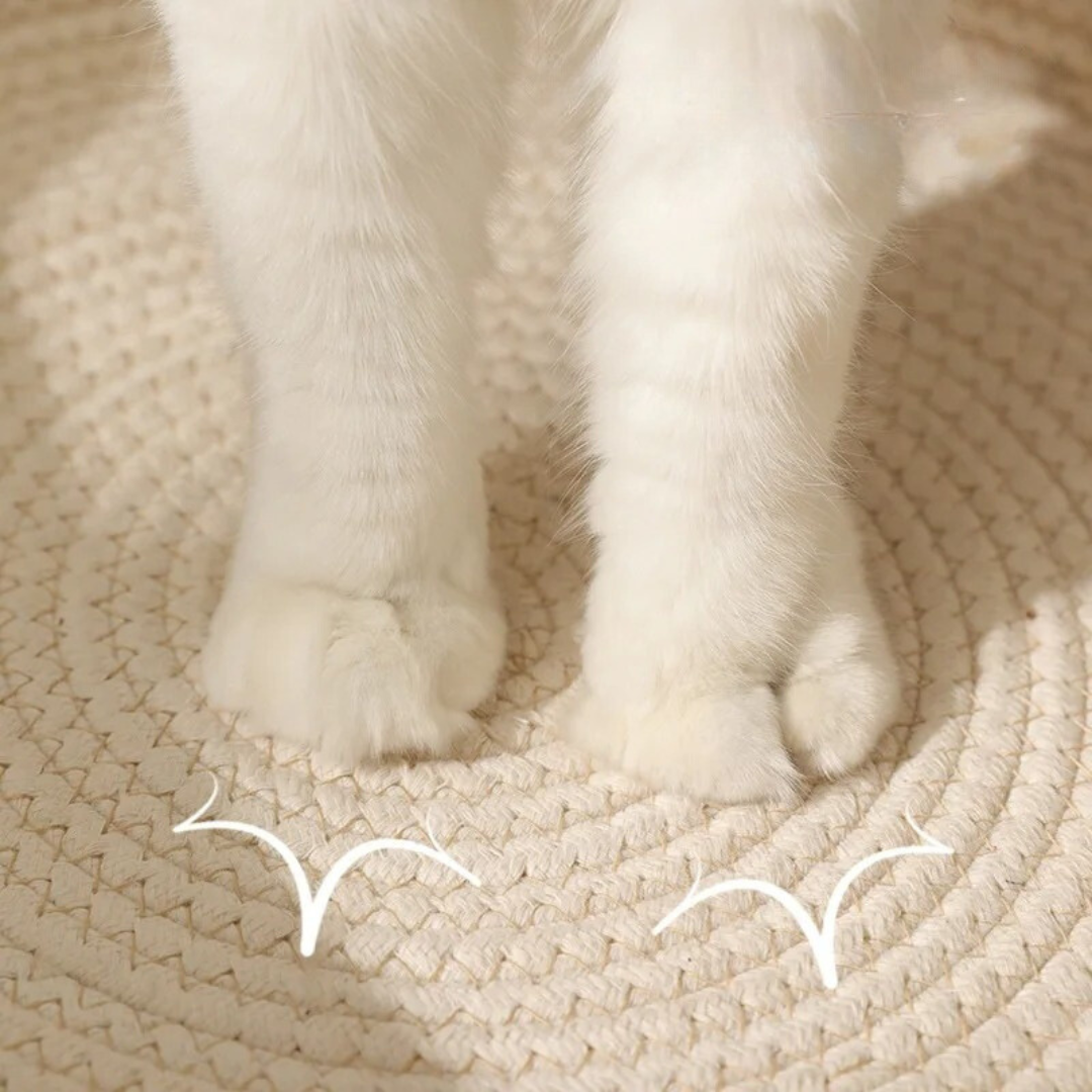 Natural Fiber Cat Nest Bed