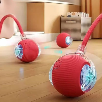 Interactive Dog Ball