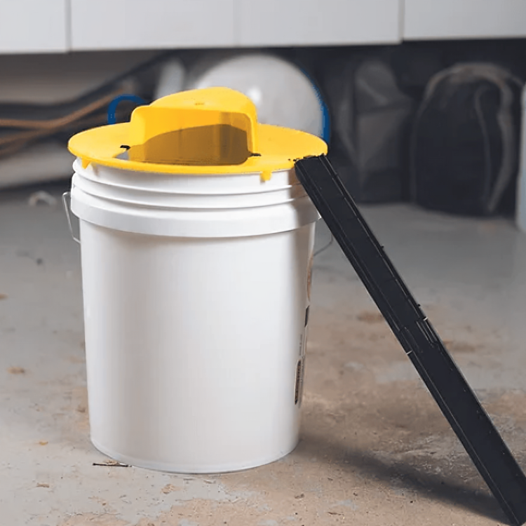Effective Electronic Mouse Trap for House