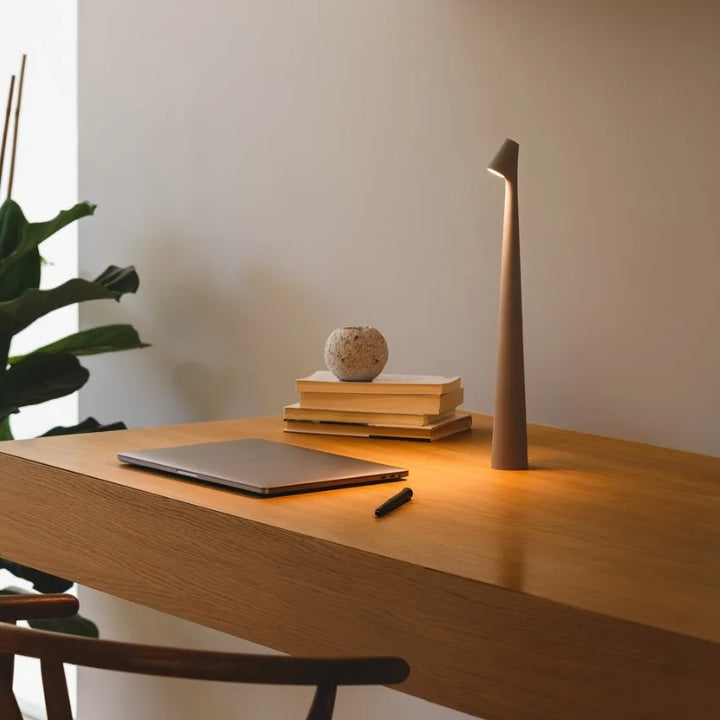 Creative Desk Table Lamp