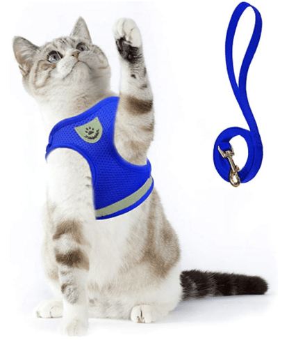 Safe Cat Walking Harness with Leash and Reflective Straps