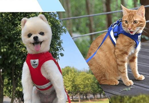 Safe Cat Walking Harness with Leash and Reflective Straps - Cofik