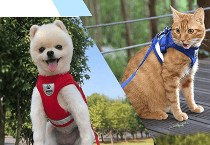 Safe Cat Walking Harness with Leash and Reflective Straps - Cofik