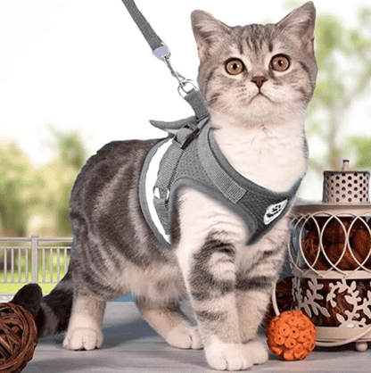 Safe Cat Walking Harness with Leash and Reflective Straps