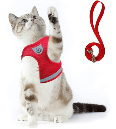 Safe Cat Walking Harness with Leash and Reflective Straps