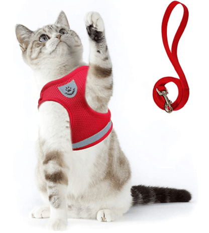 Safe Cat Walking Harness with Leash and Reflective Straps