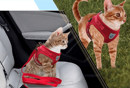 Safe Cat Walking Harness with Leash and Reflective Straps