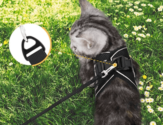 Safe Cat Walking Harness with Leash and Reflective Straps