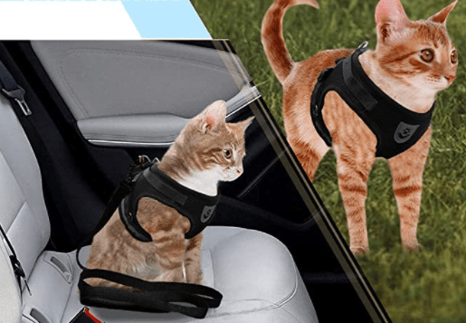 Safe Cat Harness with Reflective Straps