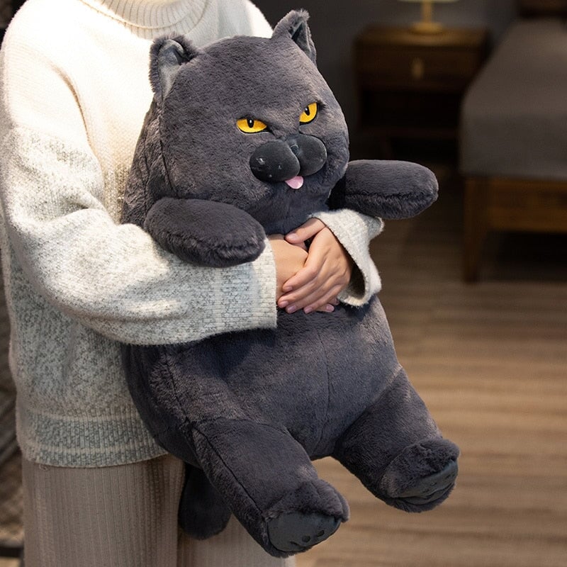 Cute Grumpy Cat Soft Toy - Cofik