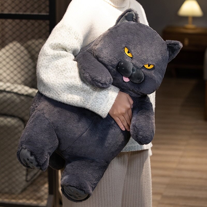 Cute Grumpy Cat Soft Toy