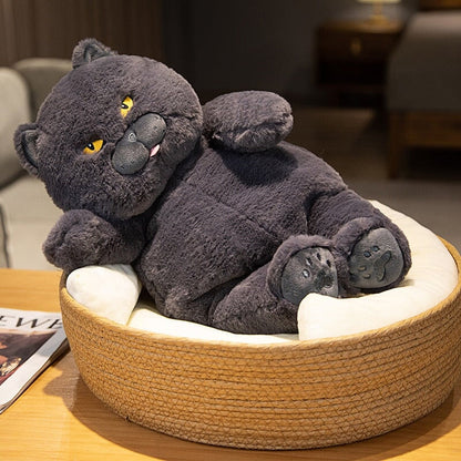 Cute Grumpy Cat Soft Toy