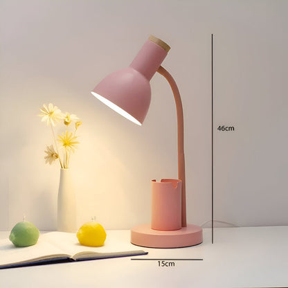 Compact LED Desk Lamp with Storage