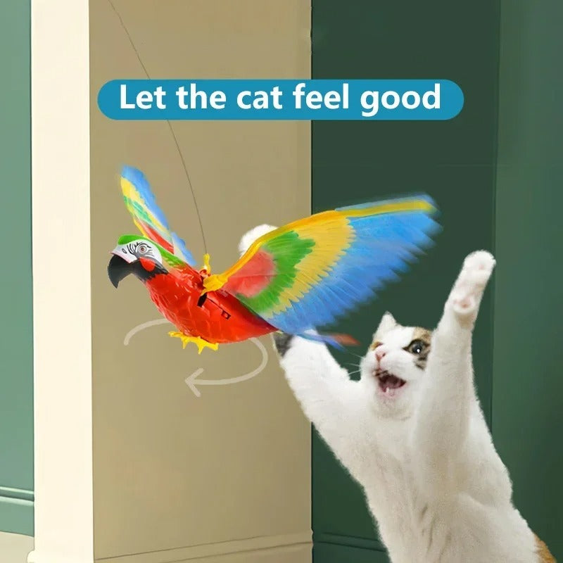 Colorful Feather Teaser Cat Toy - Cofik